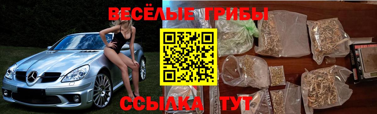 Галлюциногенные грибы Magic Shrooms Каспийск