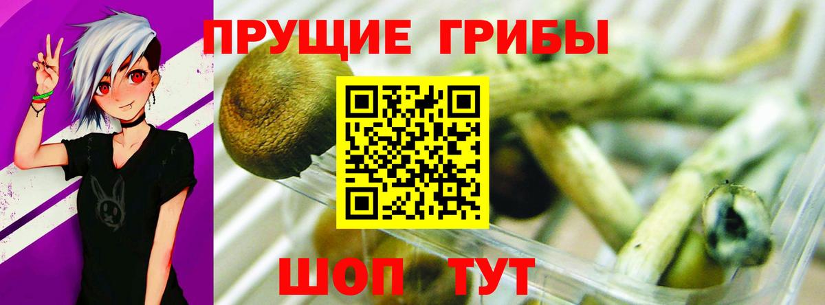 где купить наркоту  Вход с VPN  Каспийск  Галлюциногенные грибы Magic Shrooms 