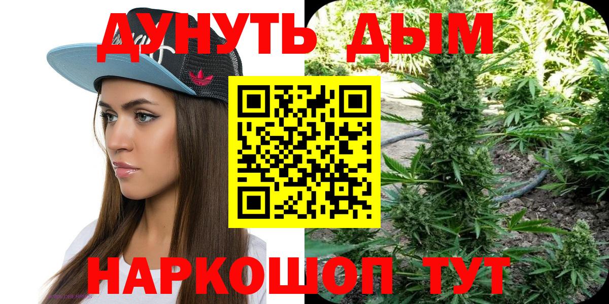 Конопля план Каспийск